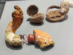 -中国美术学院象山校区-民艺博物馆