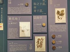 -中国湿地博物馆