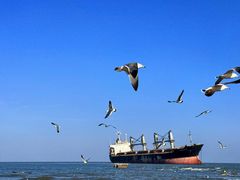 -高基五春川炒鸡排(威海总店)