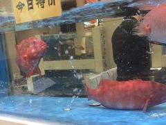 -双井轩(双井店)