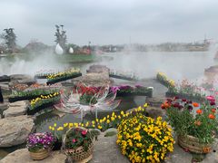 -荷兰花海