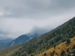 -秦岭风景区