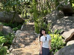 -沂蒙山旅游区云蒙景区(蒙山国家森林公园)