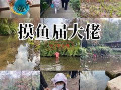 -重庆彩云湖湿地公园