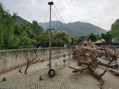 -西安秦岭野生动物园