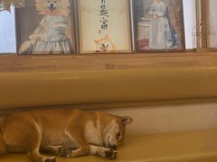 -柴の食堂·日式家庭料理·熊之肆(大学路店)