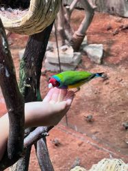 -Zoolung Zoolung动物主题公园(海信广场店)