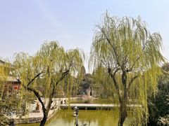 -洛阳白马寺