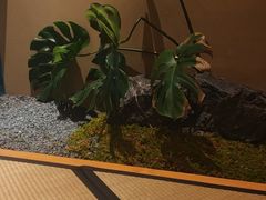 -月龍吟(朝龙汇店)