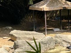 -南昌动物园