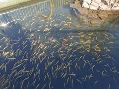 -本溪水洞