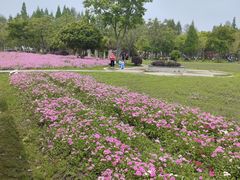 -歌斐颂巧克力小镇