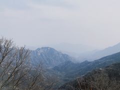 -大岭沟猕猴桃谷风景区