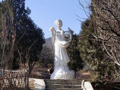 -北京西山国家森林公园