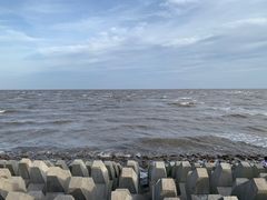 -奉贤海滩