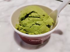 -哈根达斯(西安北郊店)