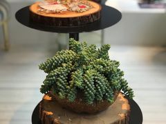 -TIMES CITY OUTLETS 时代·城市·奥特莱斯(上海国际时尚中心店)