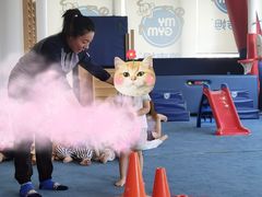 -美吉姆早教(高新中心)