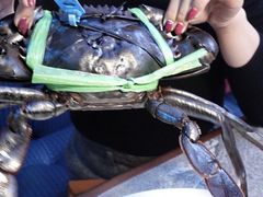 -Ministry of Crab•MOC(交子大道店)