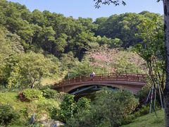 -云溪植物园