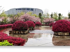 -成都中医药大学(温江校区)