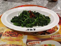 -老碗会·陕西手工面(中心书城店)