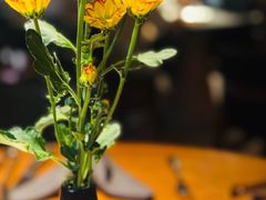 -拉蒂娜·巴西牛排馆 Latina·Brazilian Steakhouse(王府井喜悦店)