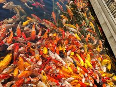 -番禺宾馆丽苑厅