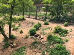 -大连森林动物园