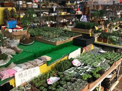 -秦美花卉(天朗·莱茵小城2期店)