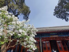 -保定直隶总督署博物馆