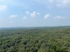 -灵谷景区