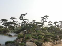 -罗红摄影艺术馆