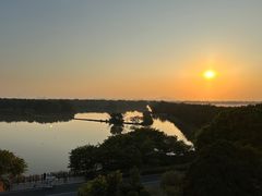-大湾区中央湿地公园