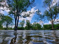 -永定河休闲森林公园