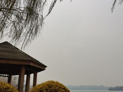 -丁香湖公园