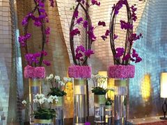 大堂-广州天河希尔顿酒店