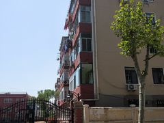 -青岛大学路小学