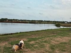 -春花秋色城市公园