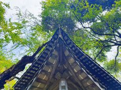 -大妙火锅·非物质文化遗产(东湖公园店)