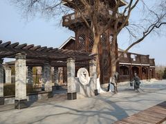 -永定河休闲森林公园