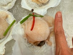 蒜蓉夏日贝-映像威海·海鲜味道(经区店)