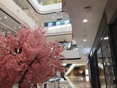 -上海颛桥万达广场