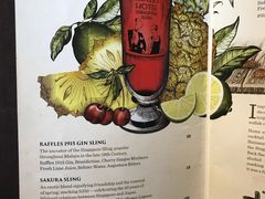 -Long Bar(莱佛士酒店)