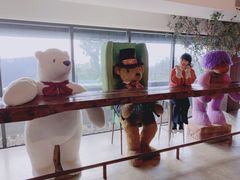 -济州岛泰迪熊博物馆