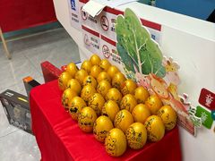 -童程童美·信息学竞赛·机器人编程·少儿编程(万寿路校区)