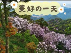 -梧桐山风景名胜区