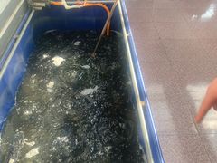 -美顺香食府鱼头老店(雪野湖店)