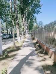 -润复丝·泽发防脱头皮管理