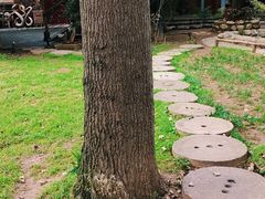 -林间山庄